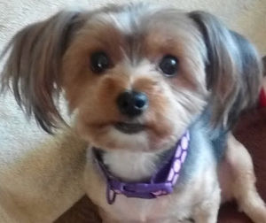 Meet your Posher, Rebecca